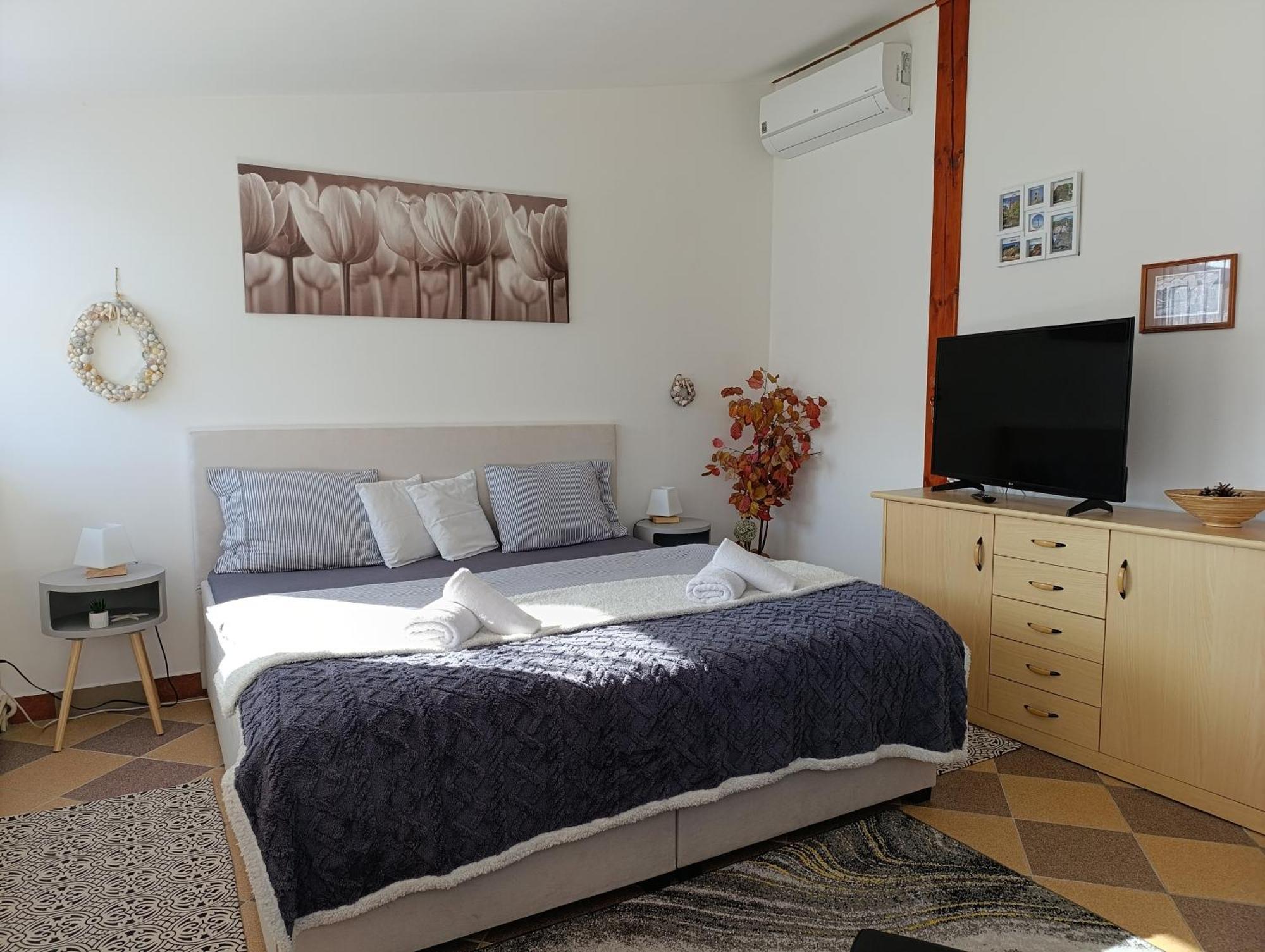U Bocmana S Vyhledem Na Zamek A Labe Apartment Decin Exterior photo