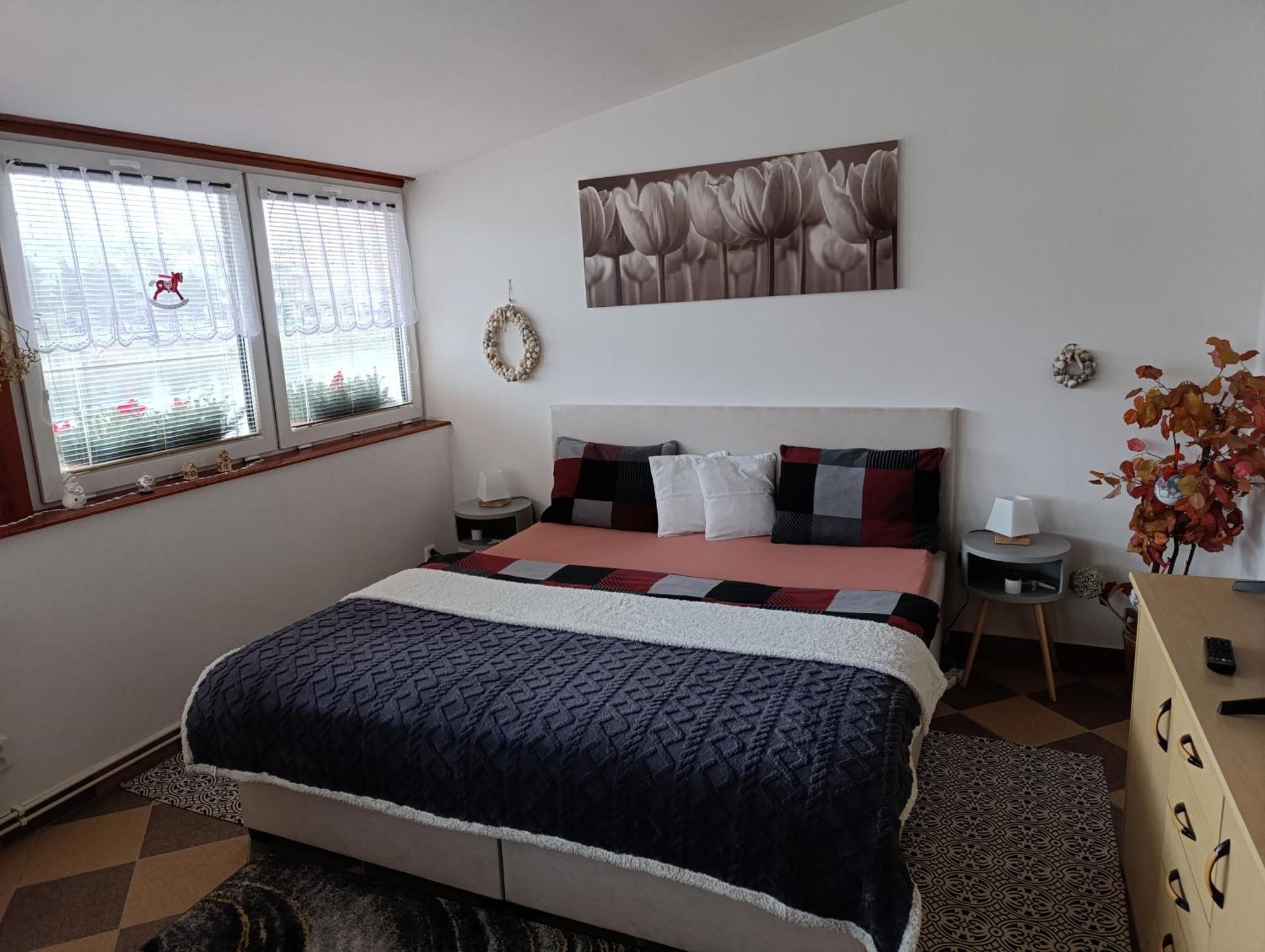 U Bocmana S Vyhledem Na Zamek A Labe Apartment Decin Exterior photo